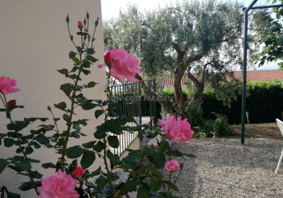 Casa Vacanze Appartamento Il Giardino Di Lucia